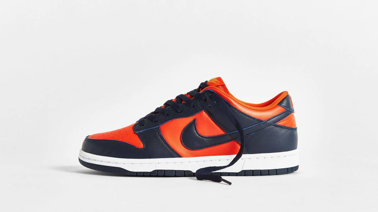 champ cplors nike dunks sb
