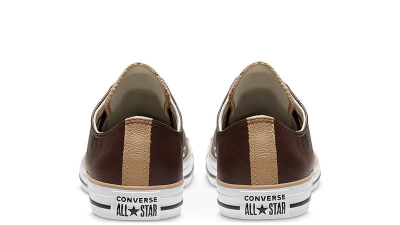 Converse Chuck Taylor All Star Low Top Dark Root 168541C back