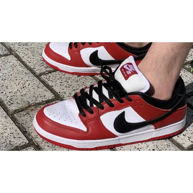 Nike SB Dunk Low Chicago On Foot
