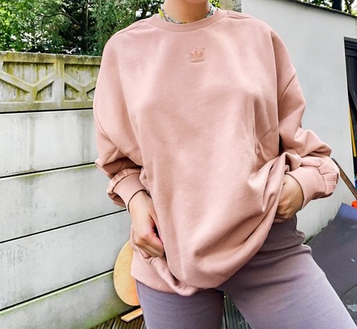 adidas Logo Sweatshirt Beige