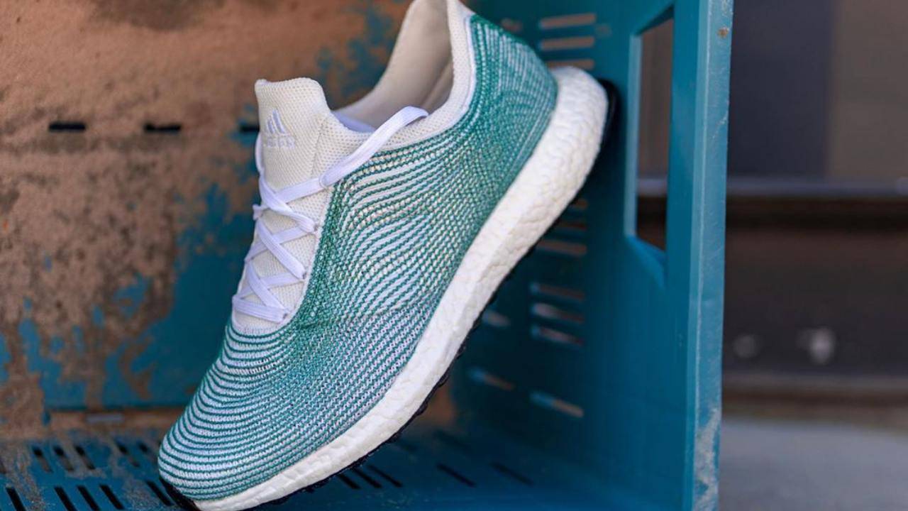 seabass_photos parley ultra boost