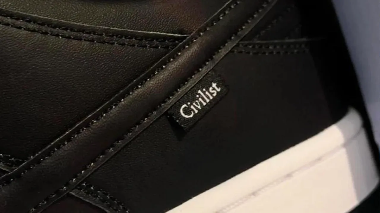 civilist x nike sb dunk low pro qs thermography