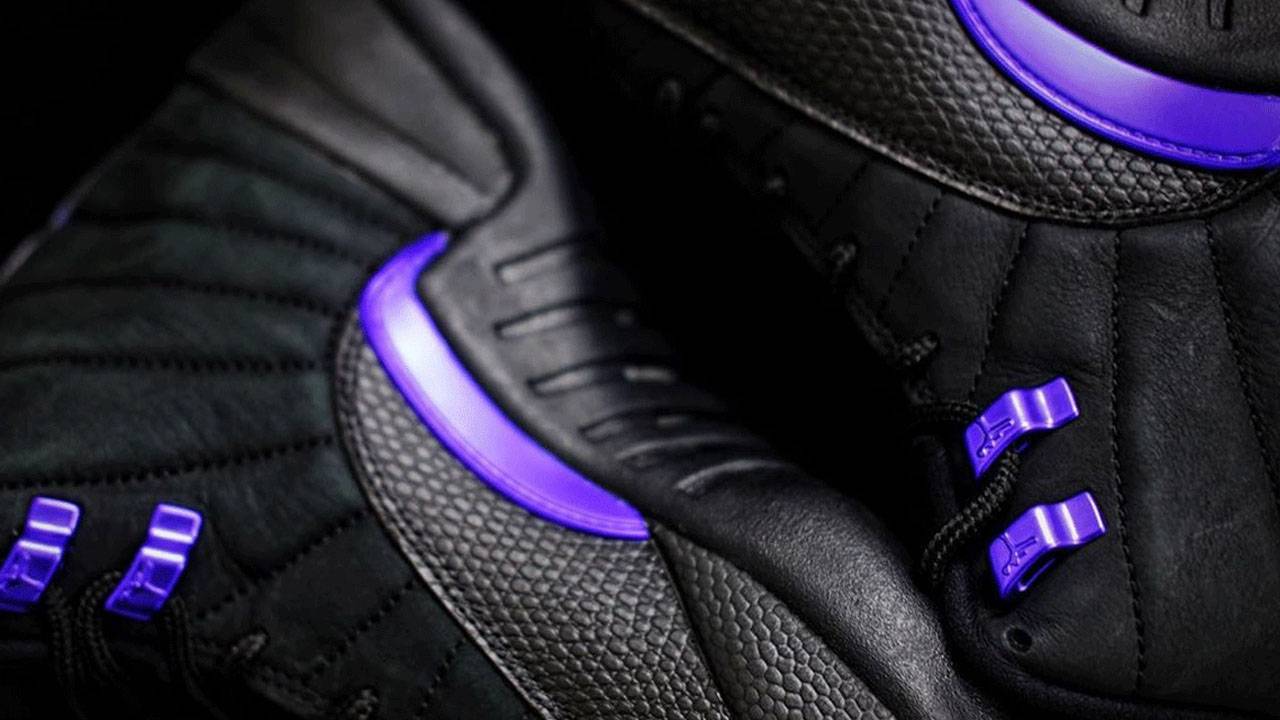 Air Jordan 12 "Dark Concord"