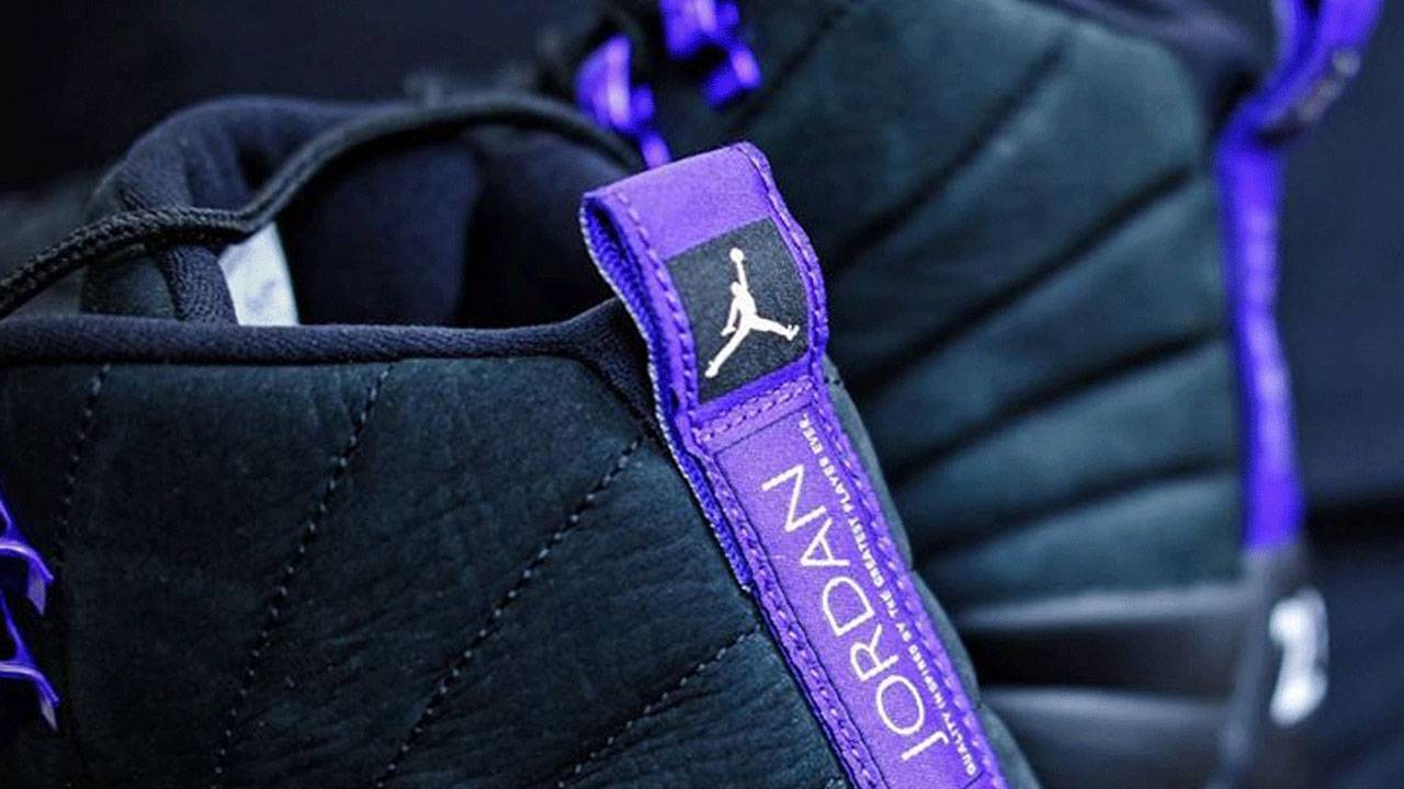 Air Jordan 12 "Dark Concord"