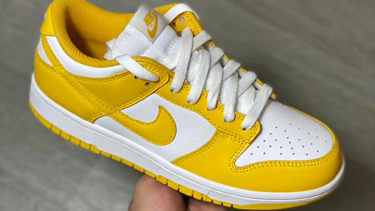 Nike Dunk Low Womens Pack 2021