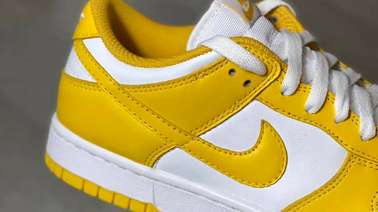 Nike Dunk Low Womens Pack 2021