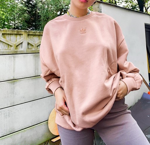 adidas Originals Neutral Sweatshirt