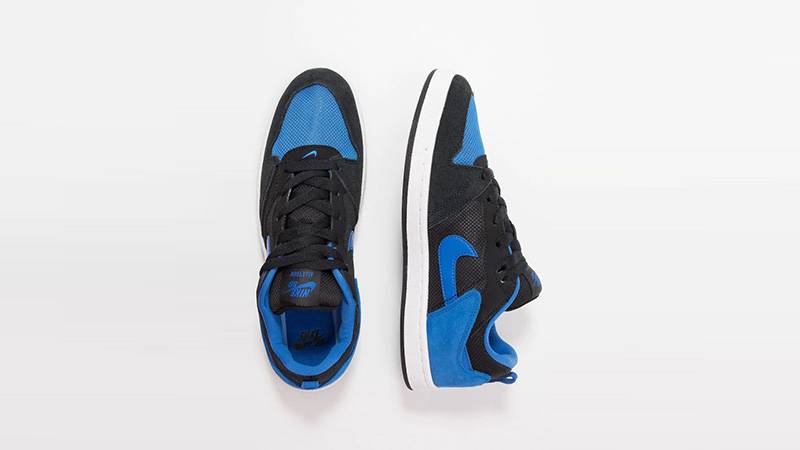 nike sb alleyoop royal