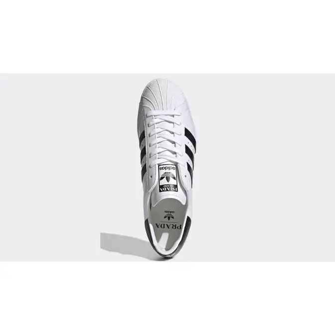 Prada adidas discount superstar white