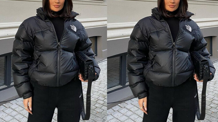 The north face coat black
