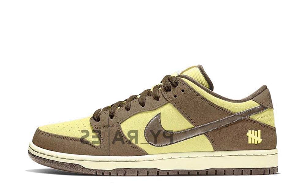 UNDEFEATED x Nike Dunk Low SP Canteen 