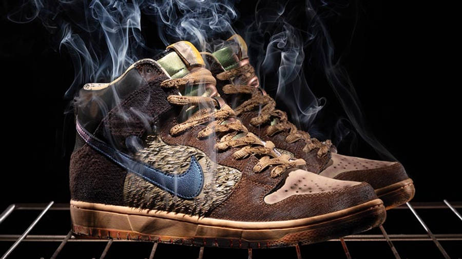 Concepts x Nike SB Dunk High Duck First Look