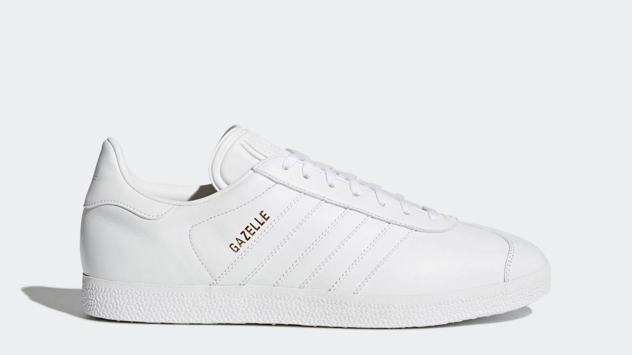 gazelle