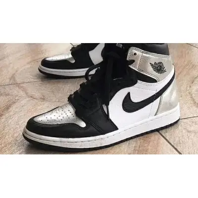 Silver deals jordan shoes