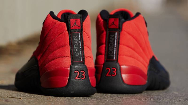 flu game 12 back