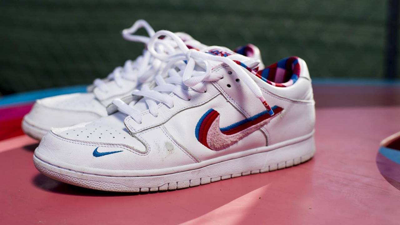 parra nike sb dunk