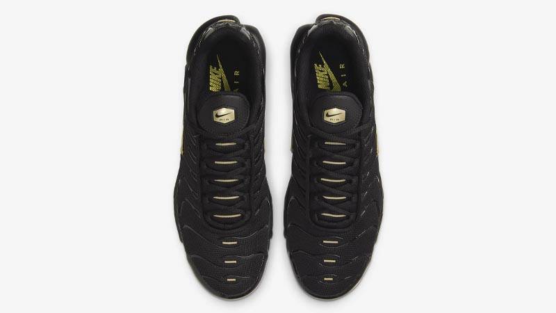 gold and black tns