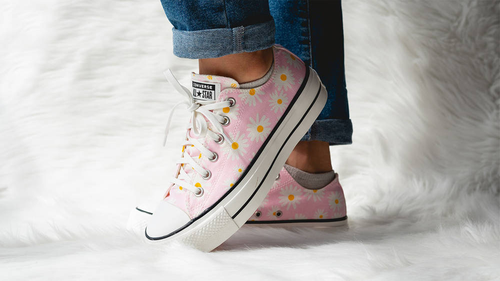 Converse camp daisy