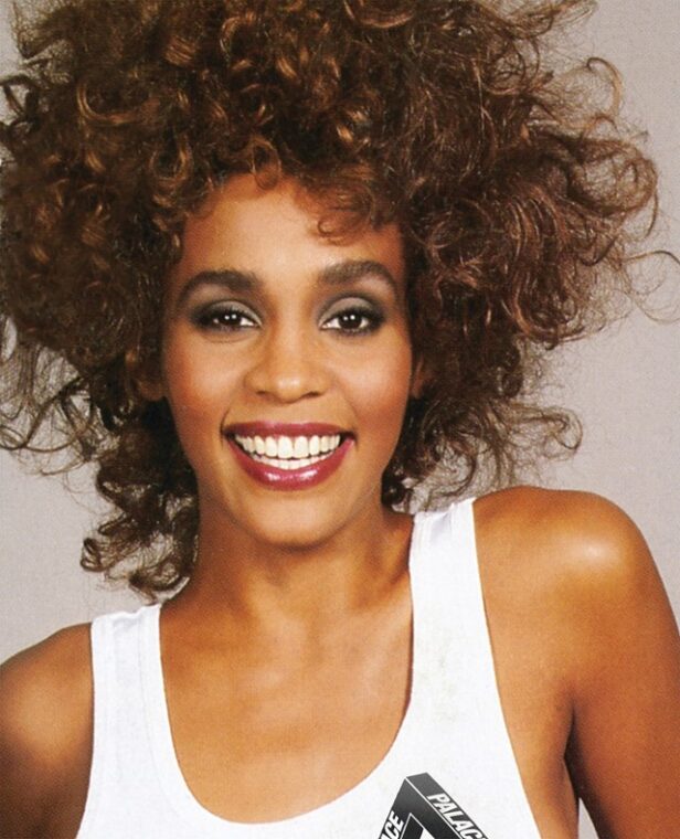 Whitney Houston x Palace