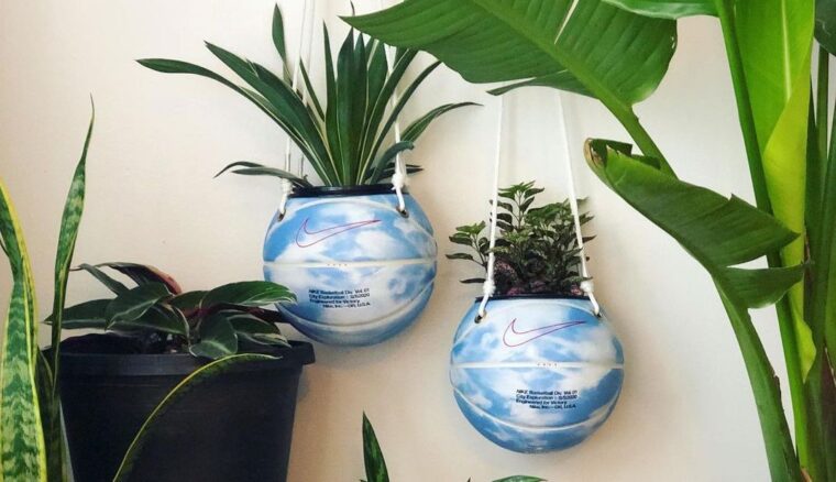 hoopsandhorticulture