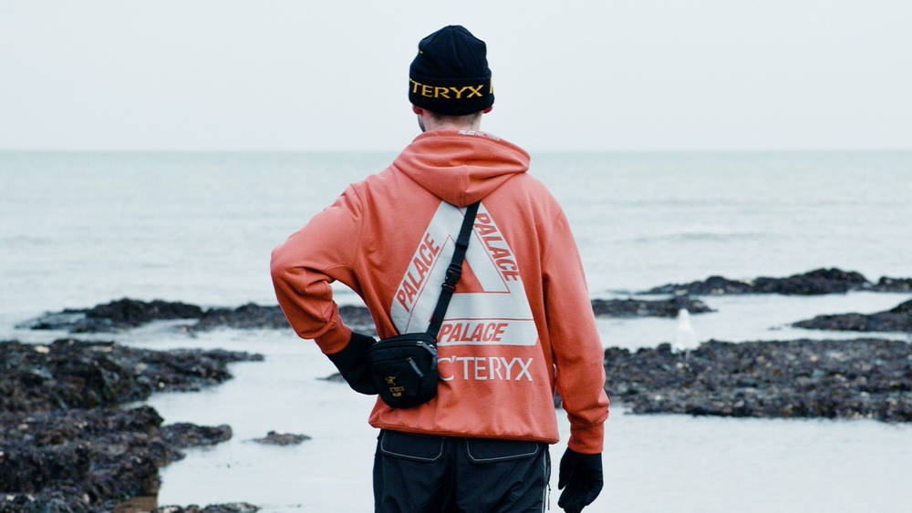 Image via Palace/Arc'teryx arceryx palace 1