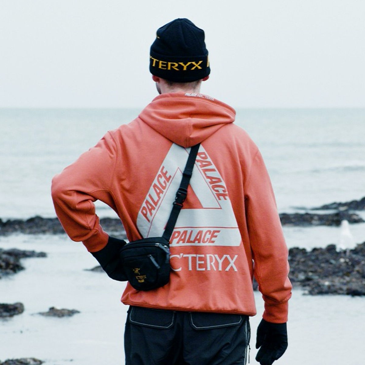 arceryx-palace-
