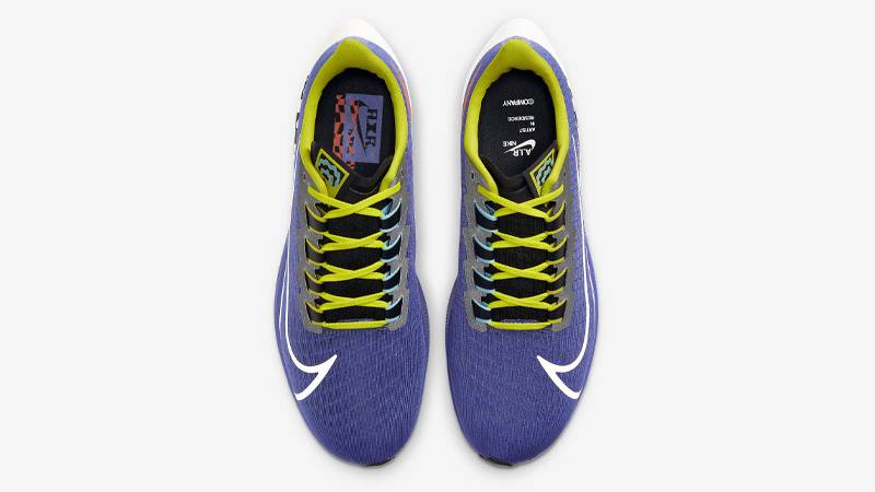 pegasus 37 chaz bear