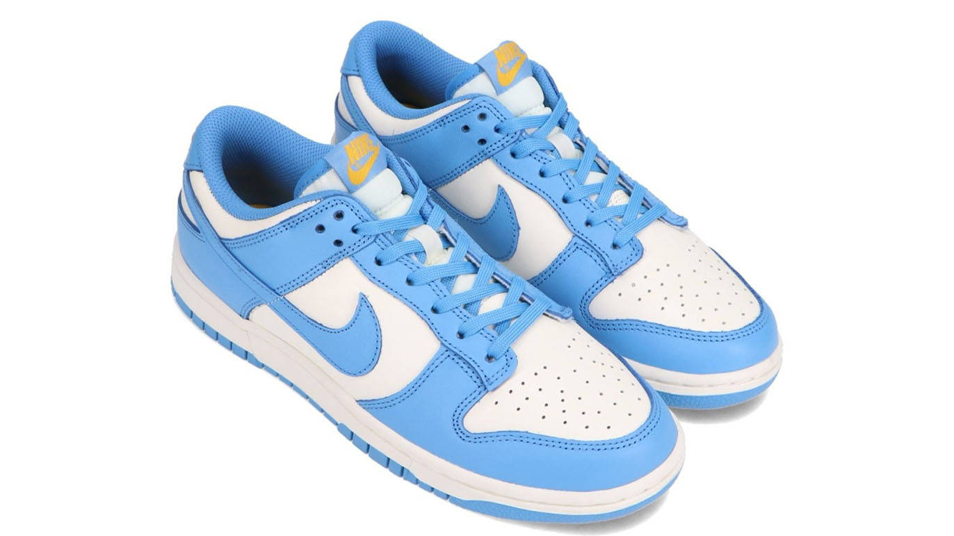 Nike Dunk Low Coast Sail