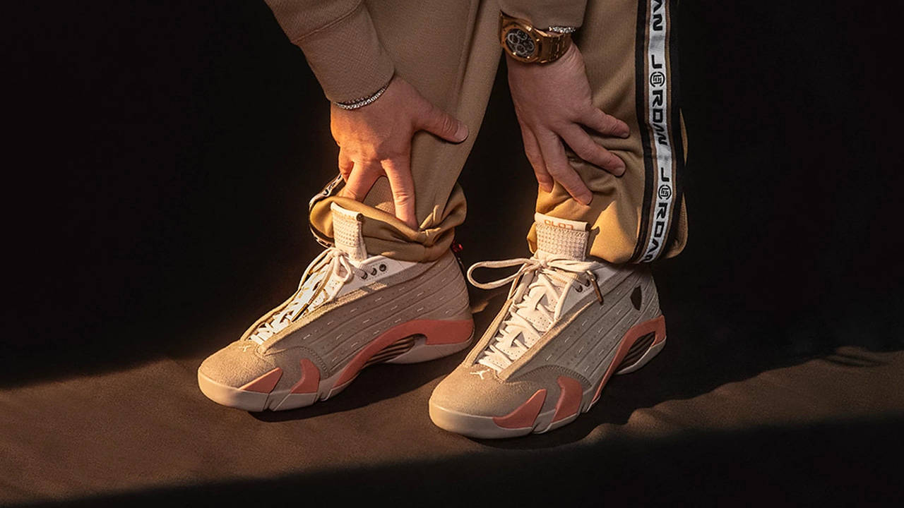 jordan 14 terracotta on feet