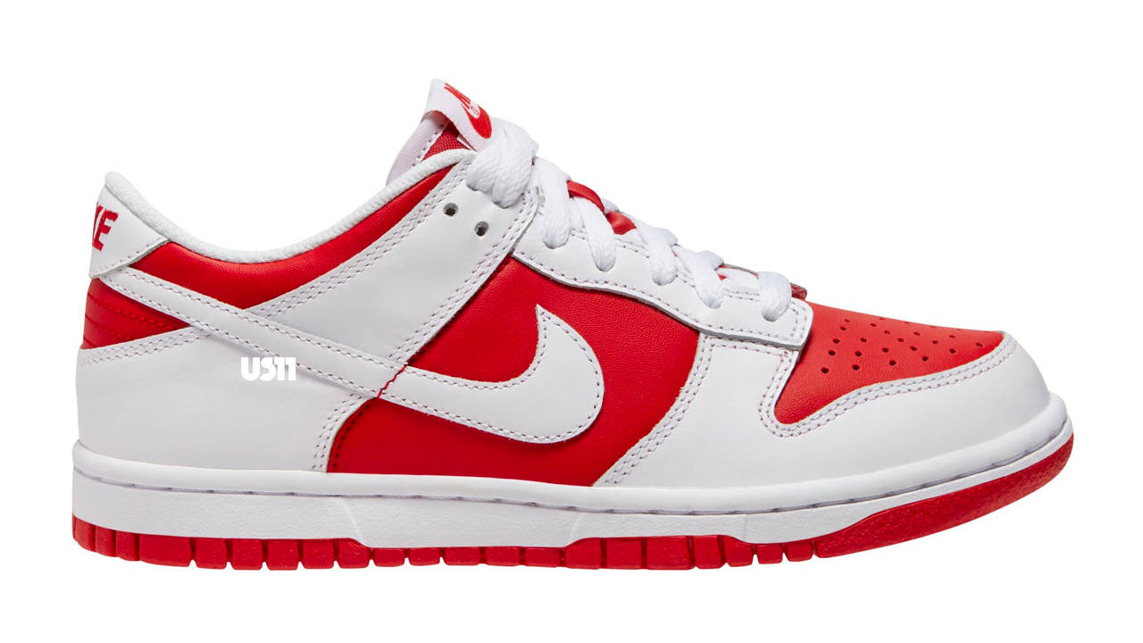 8 New Nike Dunk Low Colourways Are on the Way