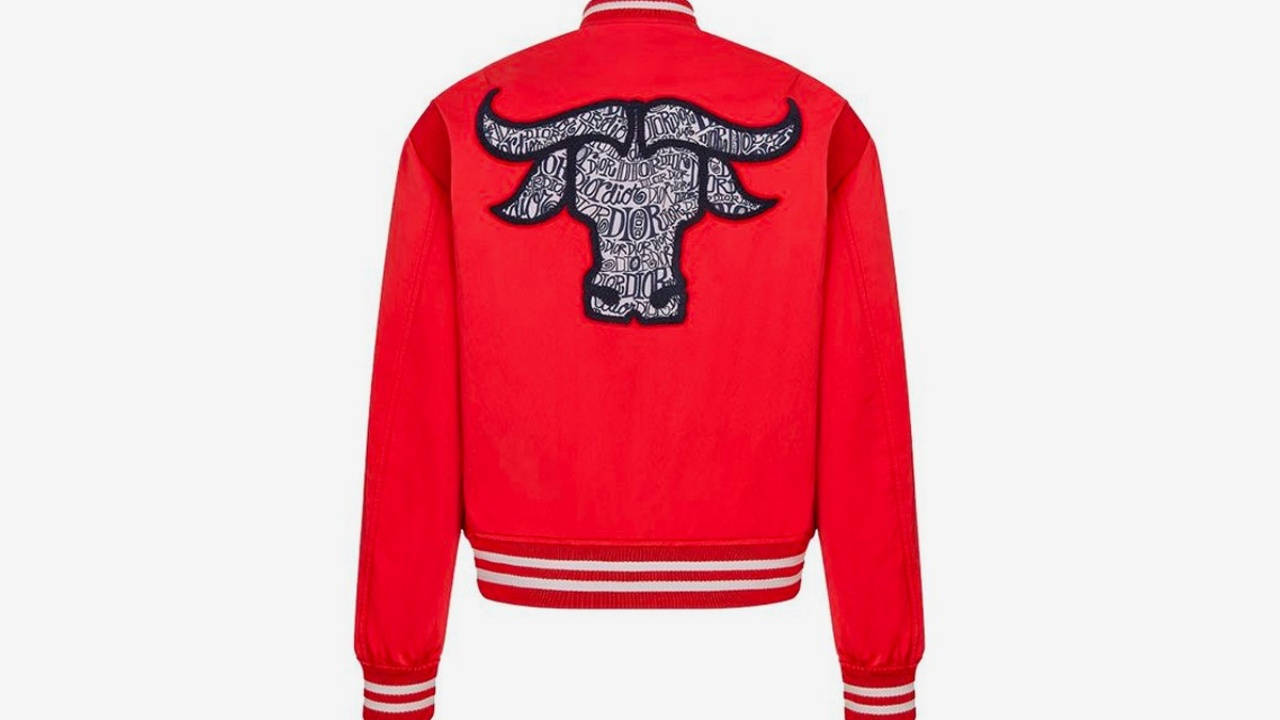 stussy dior 2