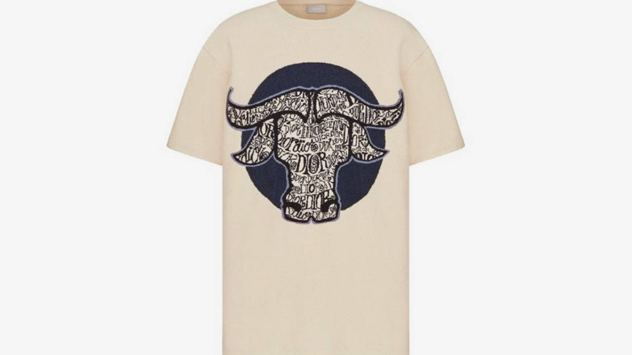 stussy dior 5