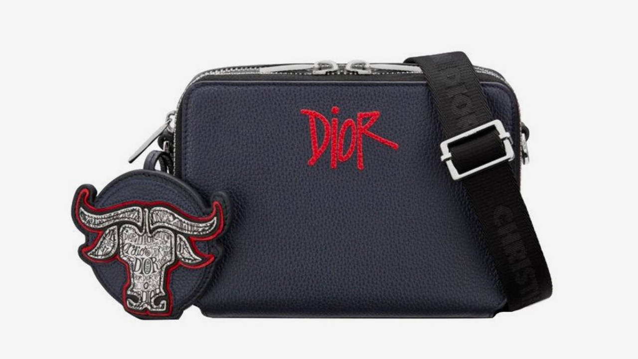 stussy dior 6