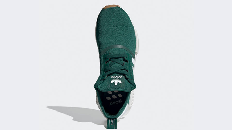 nmd collegiate green