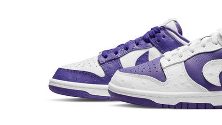 Here’s A First Look At The Nike Dunk Low Flip The Old School Release