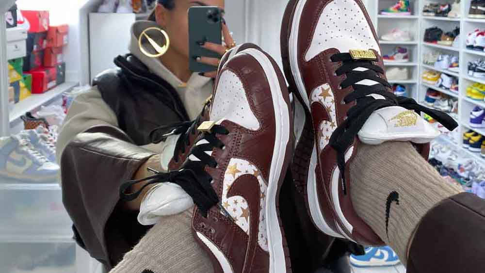 Supreme x Nike SB Dunk Low Feautre