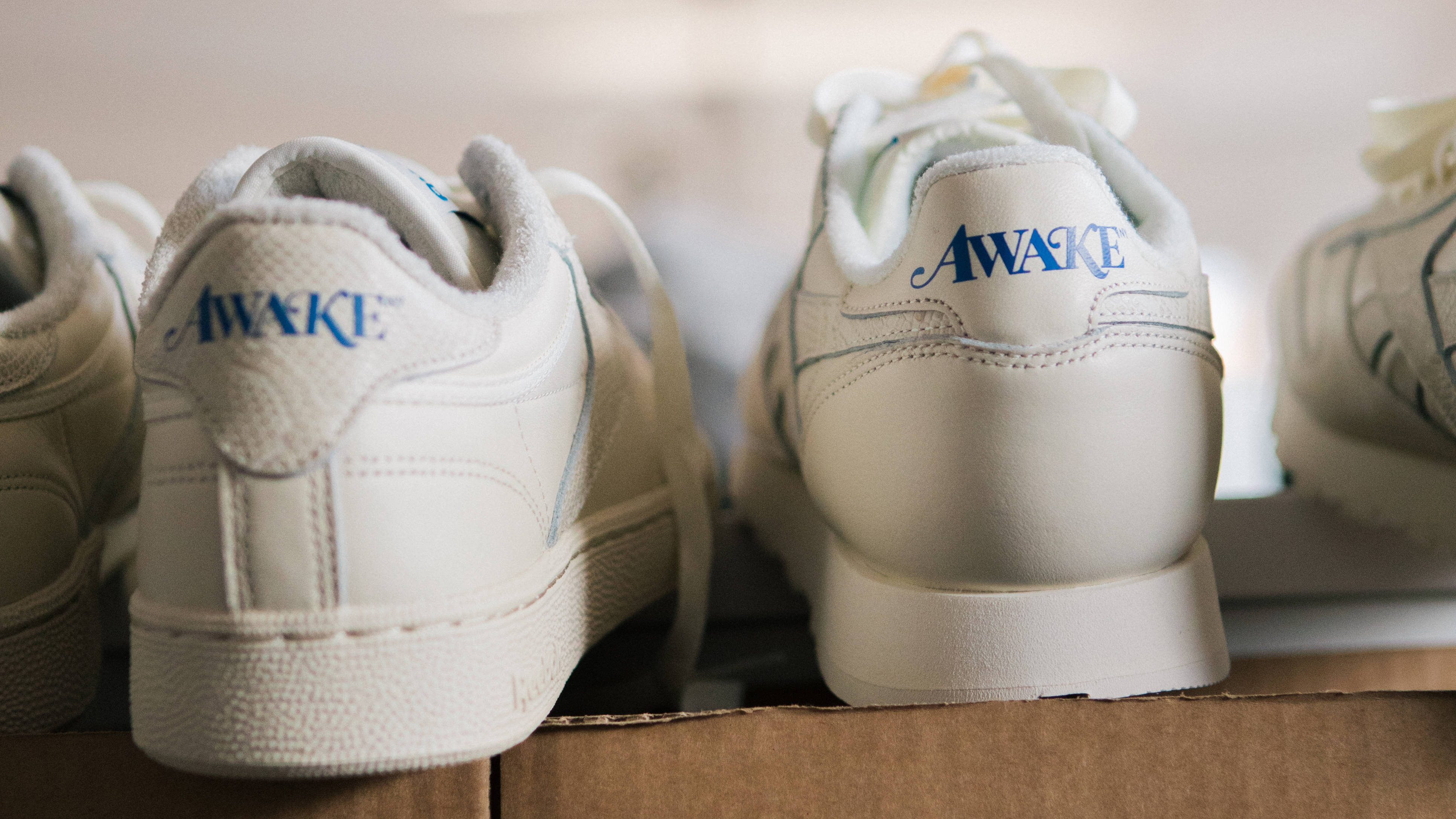 Awake NY x Reebok Snakeskin F