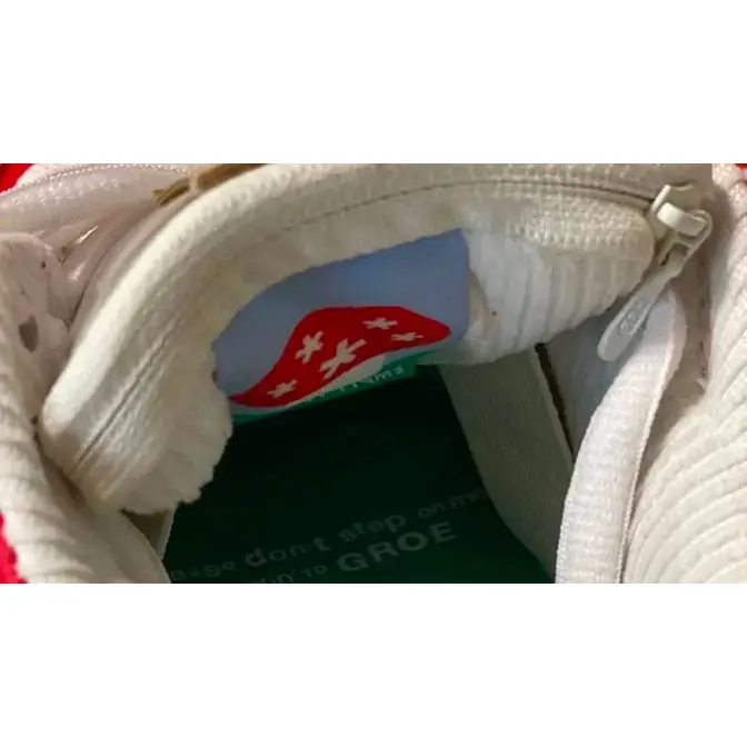 stingwater x nike sb dunk low bright red