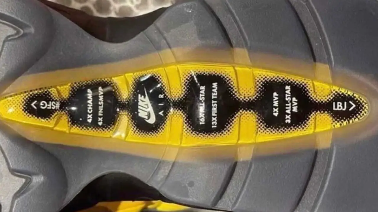 air max 95 nrg lebron