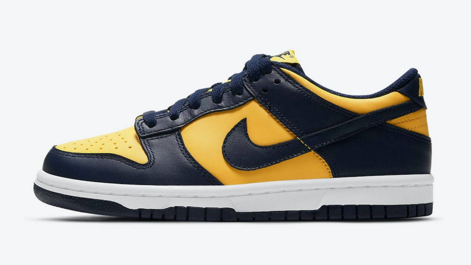 Nike Dunk Low Michigan side prof