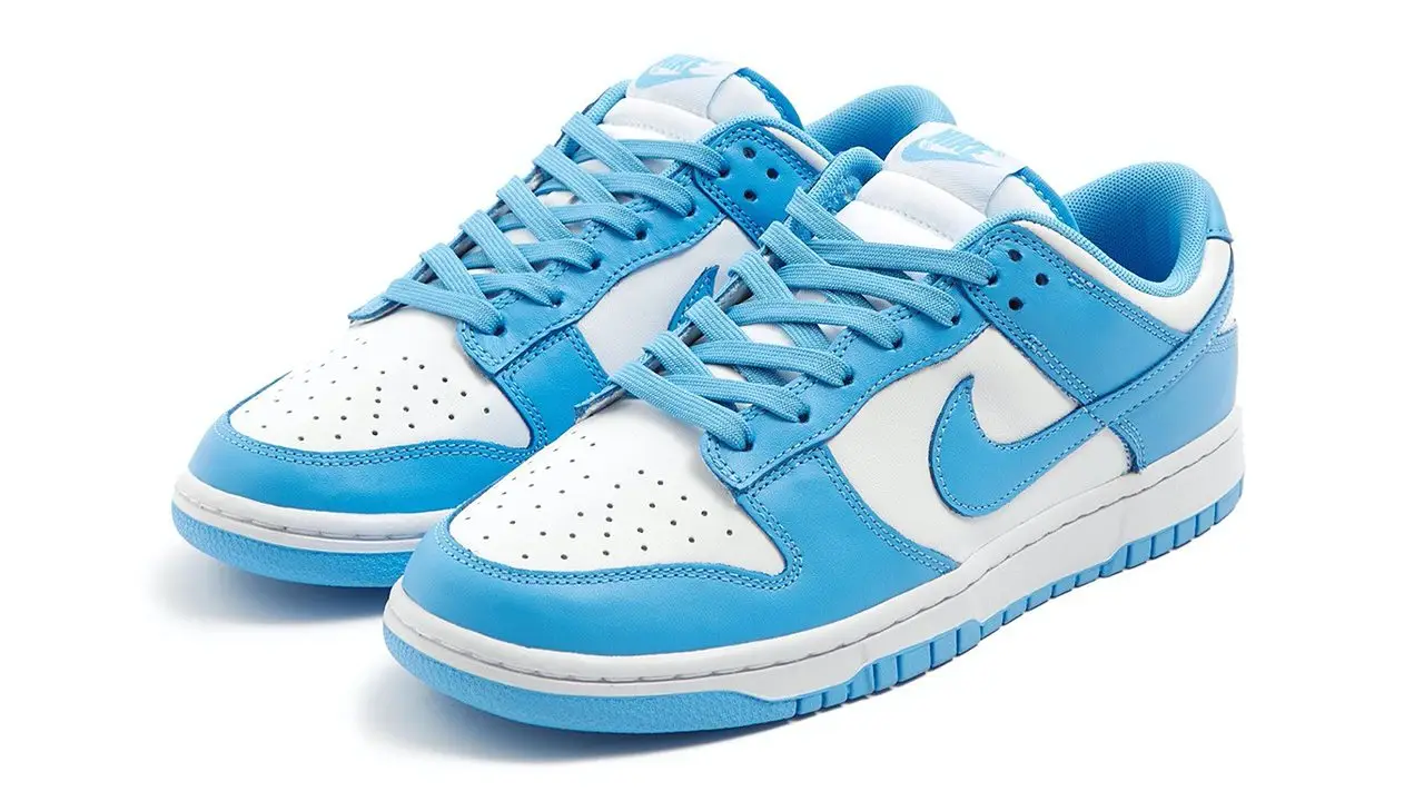 The Nike Dunk Low 