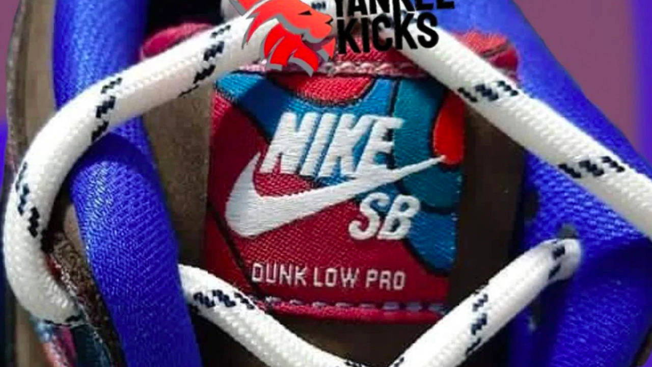 Parra x Nike SB Dunk Low