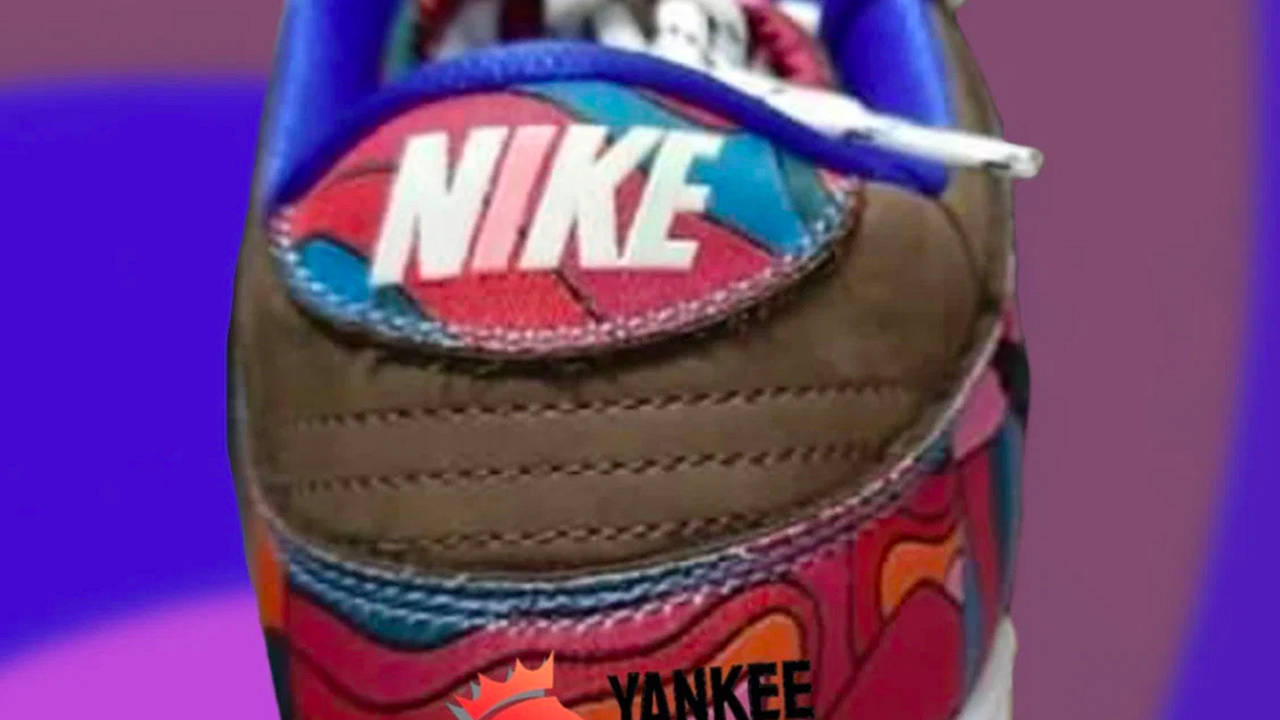 Parra x Nike SB Dunk Low
