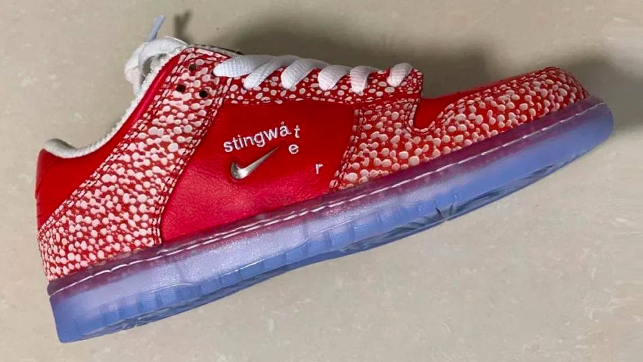Stingwater x Nike SB Dunk Low