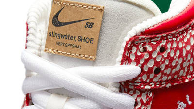 springwater nike sb