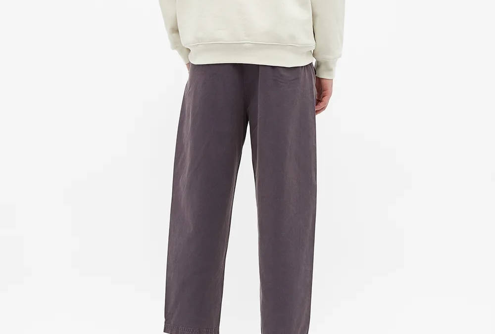 champion garment dye cotton twill pant