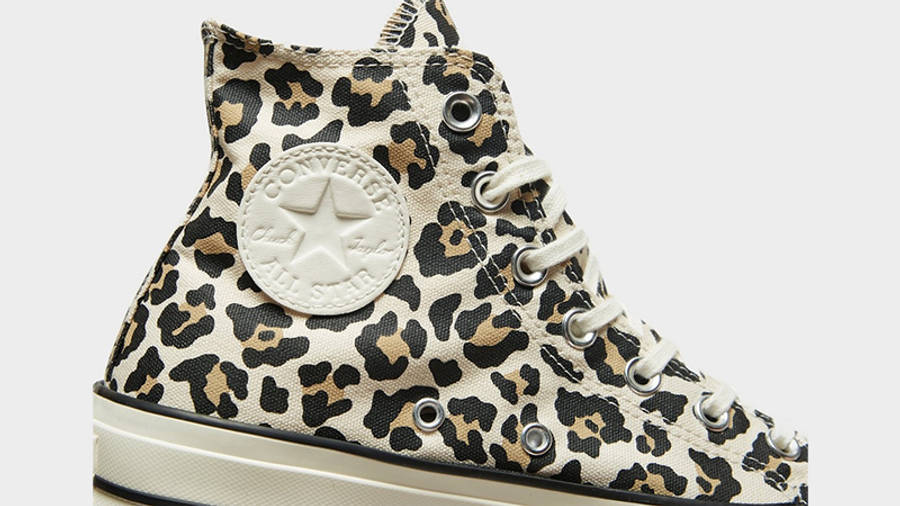 cheetah converse journeys