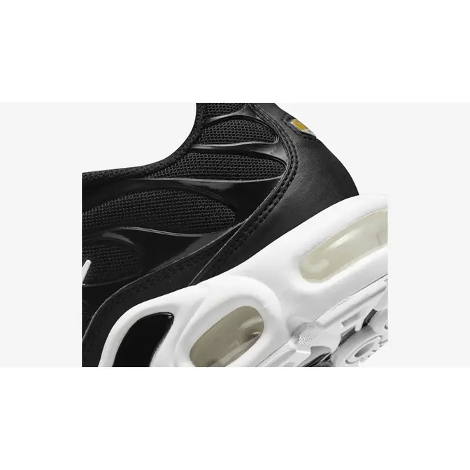 Nike TN Air Max Plus Black White | Where To Buy | DM2362-001 | The Sole ...