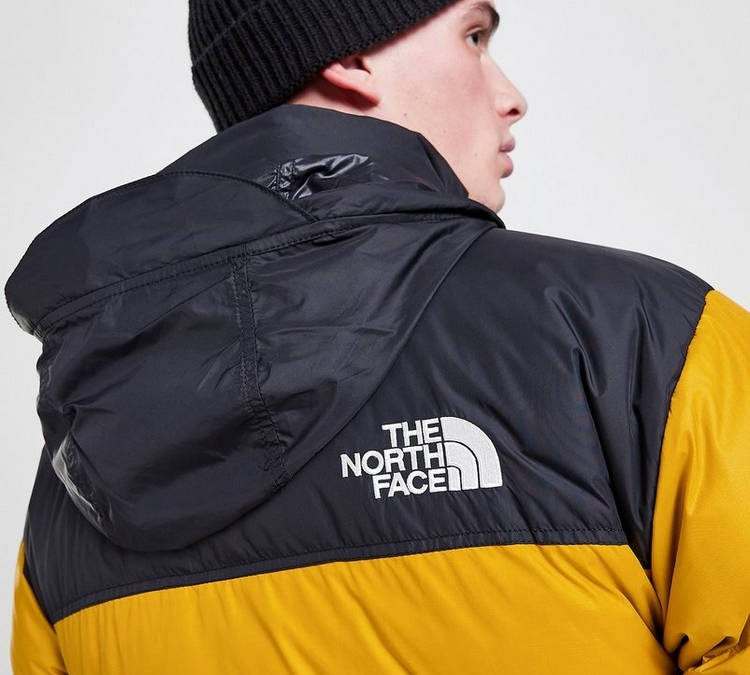 the north face 1991 mountain jacket