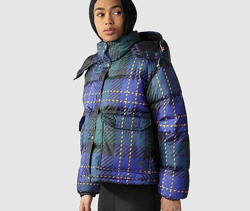 The North Face Printed 71 Sierra Down 